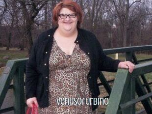 VenusOfUrbino
