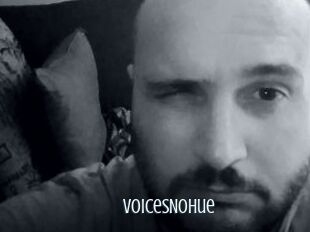 VoicesNoHue