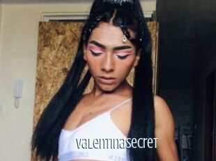 Valentinasecret