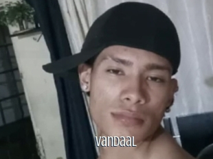 Vandaal