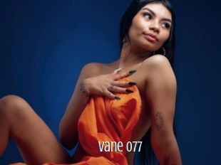 Vane_077