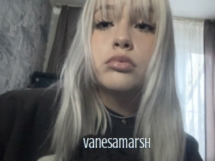 Vanesamarsh
