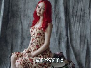 Vanessaamix