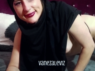 Vanezaleviz