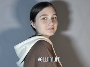 Vellumurr