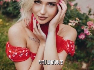 Velunavice