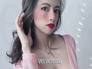 velvetnina Edonkey xxx