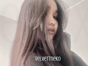 Velvettneko