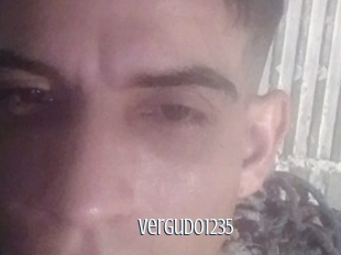 Vergudo1235