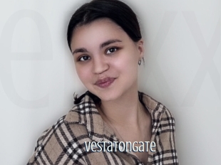 Vestatongate