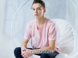 Viggomister