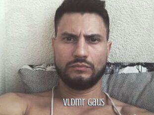 Vldmr_gaus