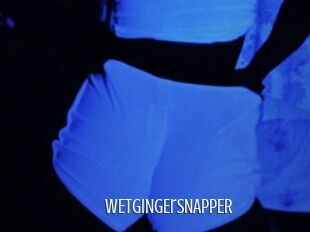 WETGiNgErSNAPPER