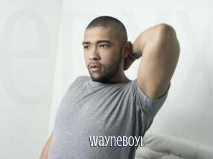 WayneBoyI