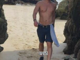 WeS1