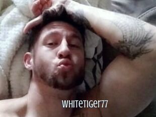 Whitetiger77