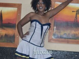 Wildcat30