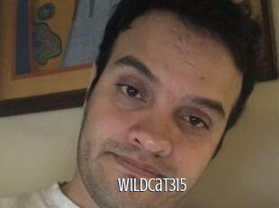 Wildcat315