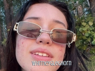 Whitneygleghorn