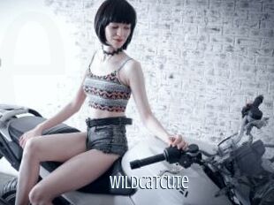 Wildcatcute