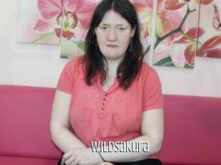 Wildsakura