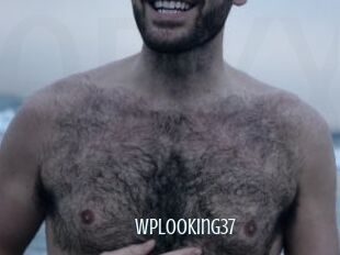 Wplooking37