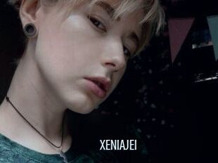 XENIA_JEI