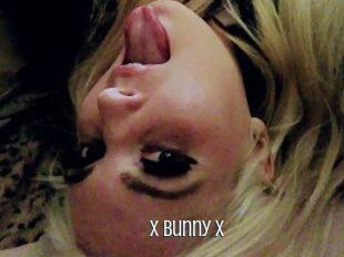 _x_Bunny_x_