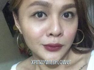 XPinayWildFlower