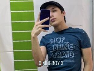 X_kingboy_x