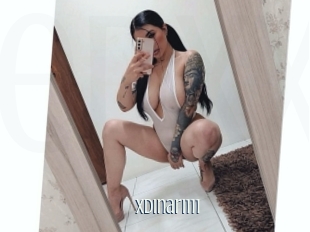 Xdinari111