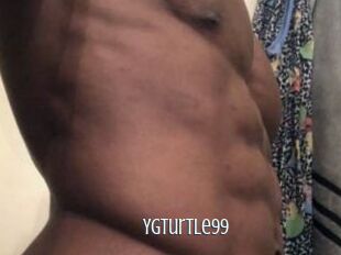 Ygturtle99