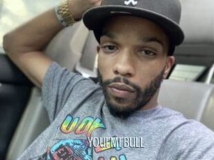 YourMrBull