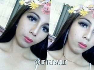 YourTransWild