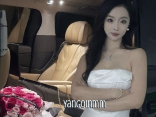 Yangqinmm