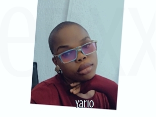 yario Edonkey xxx