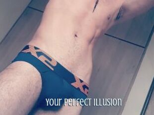Your_perfect_illusion