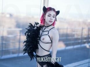 Yukiamecat