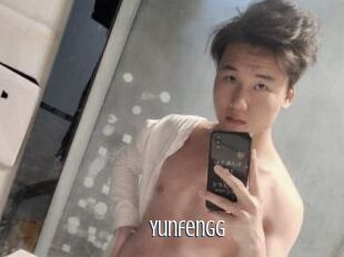 Yunfengg