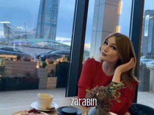 ZaraBin