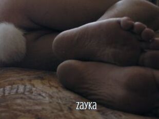 Zayka