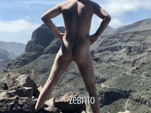 Zebrito