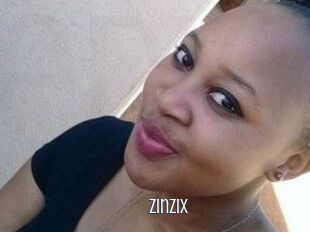 ZinziX