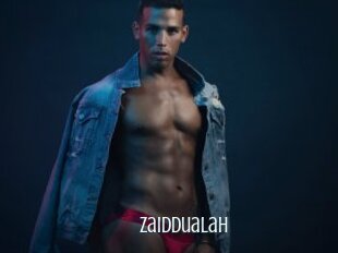 Zaiddualah