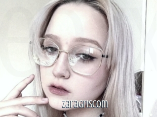 Zaragriscom