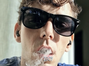 Zboy