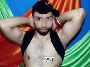 Zevit