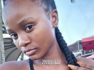Ziebea22