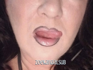 Zoekanaalsub